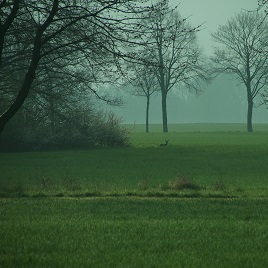 Mit dem Wind